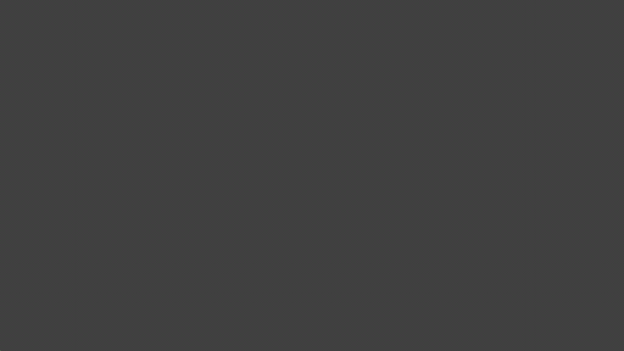 Flicker Pattern(1920X1080)_Flip-Pixel model.bmp